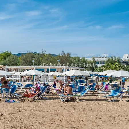 Hotel Pellegrino Palace 4*
